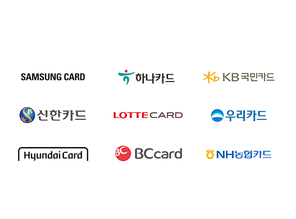 9대카드사 최대 12개월  할부